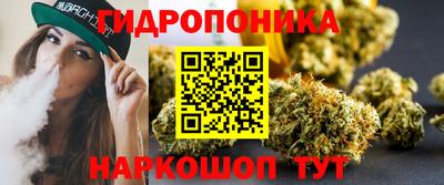 крисы Партизанск