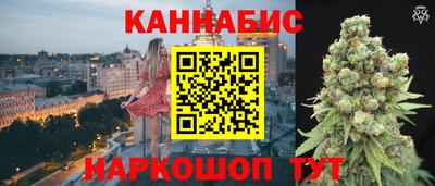 крисы Партизанск