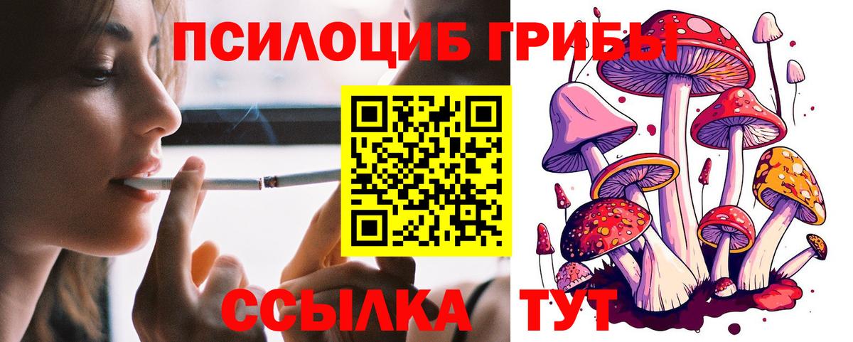 Галлюциногенные грибы Psilocybe Сибай