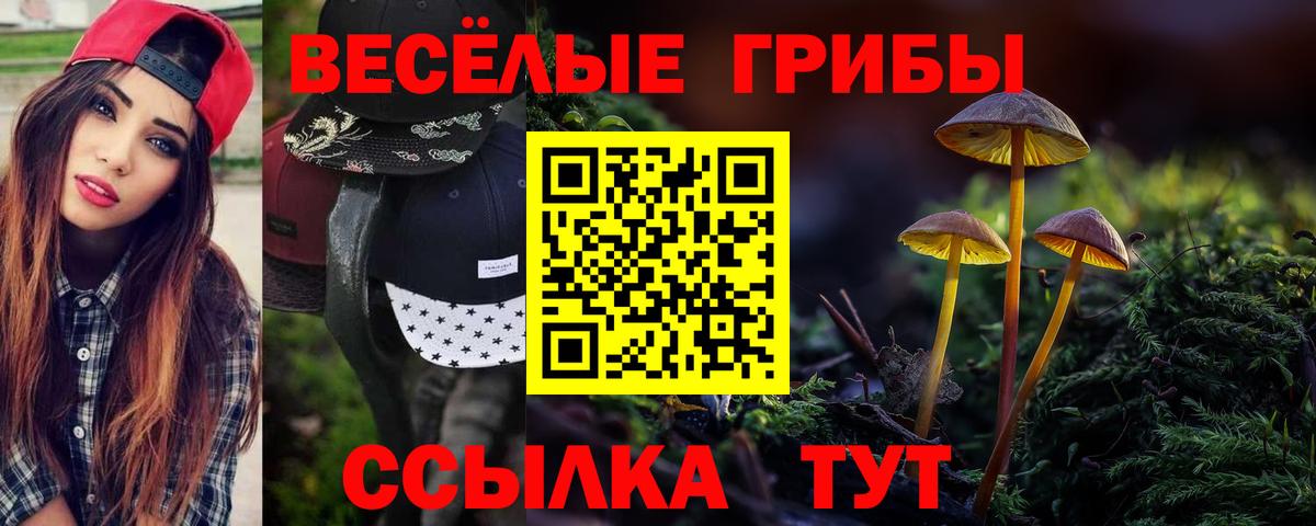 Сибай  дарнет шоп  Псилоцибиновые грибы ЛСД  Вход с VPN  Псилоцибиновые грибы Psilocybe 